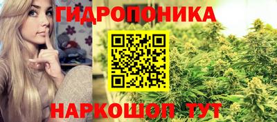 шишки Бузулук