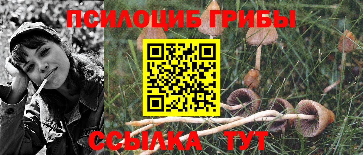 Псилоцибиновые грибы MAGIC MUSHROOMS  Галлюциногенные грибы Magic Shrooms  Вход с VPN  Пыть-Ях 